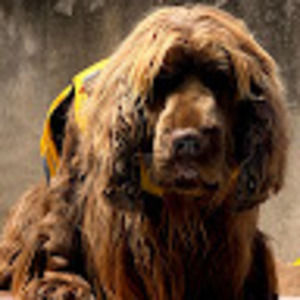 Meet your Posher, Jan